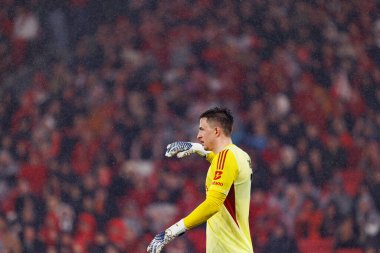 Anatoliy Trubin SL Benfica ve Real Madrid CF (Maciej Rogowski / Ball Raw Images) arasındaki Şampiyonlar Ligi faz maçında görüldü)
