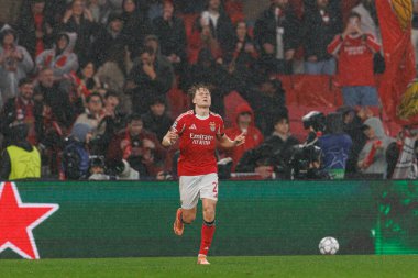 Andreas Schjelderup SL Benfica ve Real Madrid CF (Maciej Rogowski / Ball Raw Images) arasındaki Şampiyonlar Ligi faz maçında gol attıktan sonra kutlama yaparken görüldü)
