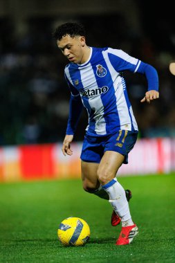 Casa Pia AC ve FC Porto (Maciej Rogowski / Ball Raw Images) arasında Liga Portekiz maçında Pepe görüldü)