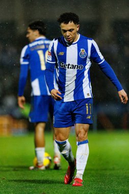 Casa Pia AC ve FC Porto (Maciej Rogowski / Ball Raw Images) arasında Liga Portekiz maçında Pepe görüldü)