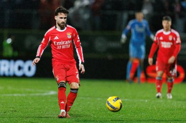Rafael Silva Rafa, Liga Portekiz maçı sırasında CD Tondela ve SL Benfica (Maciej Rogowski / Ball Raw Images) arasında görüldü.)