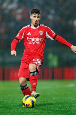 Samuel Dahl, Liga Portekiz maçı sırasında CD Tondela ve SL Benfica arasında görüldü (Maciej Rogowski / Ball Raw Images)