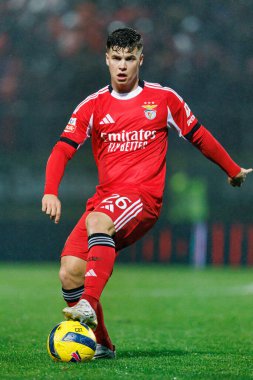 Samuel Dahl, Liga Portekiz maçı sırasında CD Tondela ve SL Benfica arasında görüldü (Maciej Rogowski / Ball Raw Images)