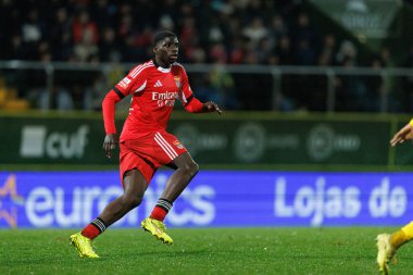 Daniel Banjaqui, Liga Portekiz 'de CD Tondela ve SL Benfica (Maciej Rogowski / Ball Raw Images) arasında oynarken görüldü)