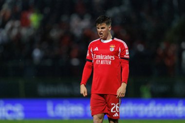 Samuel Dahl, Liga Portekiz maçı sırasında CD Tondela ve SL Benfica arasında görüldü (Maciej Rogowski / Ball Raw Images)