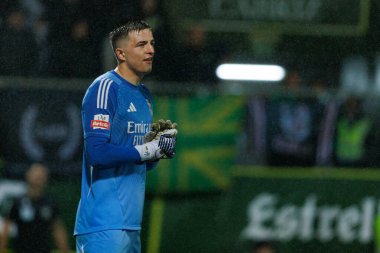 Anatoliy Trubin, CD Tondela ve SL Benfica (Maciej Rogowski / Ball Raw Images) arasındaki Liga Portekiz maçı sırasında görüldü)