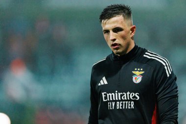 Anatoliy Trubin, CD Tondela ve SL Benfica (Maciej Rogowski / Ball Raw Images) arasındaki Liga Portekiz maçı sırasında görüldü)