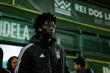 Anisio Cabral, CD Tondela ve SL Benfica (Maciej Rogowski / Ball Raw Images) arasındaki Liga Portekiz maçı sırasında görüldü)