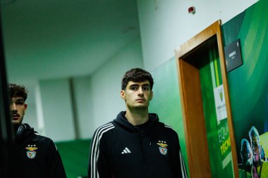 Antonio Silva, Liga Portekiz maçı sırasında CD Tondela ve SL Benfica arasında görüldü (Maciej Rogowski / Ball Raw Images)