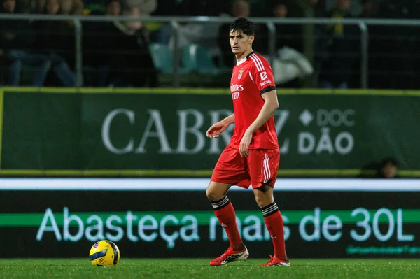 Antonio Silva, Liga Portekiz maçı sırasında CD Tondela ve SL Benfica arasında görüldü (Maciej Rogowski / Ball Raw Images)
