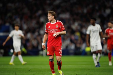 Andreas Schjelderup Şampiyonlar Ligi maçında Real Madrid CF ve SL Benfica (Maciej Rogowski / Ball Raw Images)