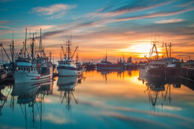 Steveston'a Park Vancouver Bc Kanada