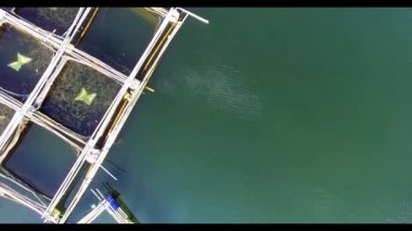 Balık çiftliği Endonezya