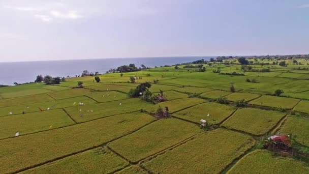 Поля и деревни Индонезии — стоковое видео