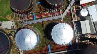 Petrol bitki Endonezya