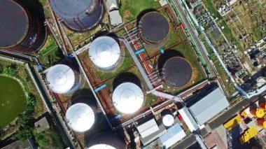 Petrol bitki Endonezya