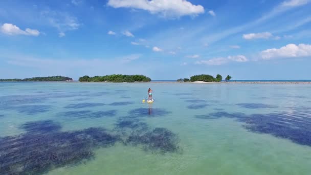 Kvinnan paddla ombordstigning på Sup — Stockvideo