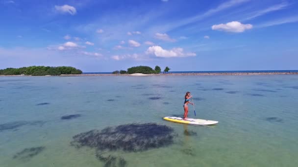 Mulher paddleboarding no SUP — Vídeo de Stock