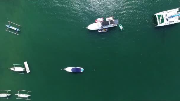 Yahts in bay op zomertijd — Stockvideo