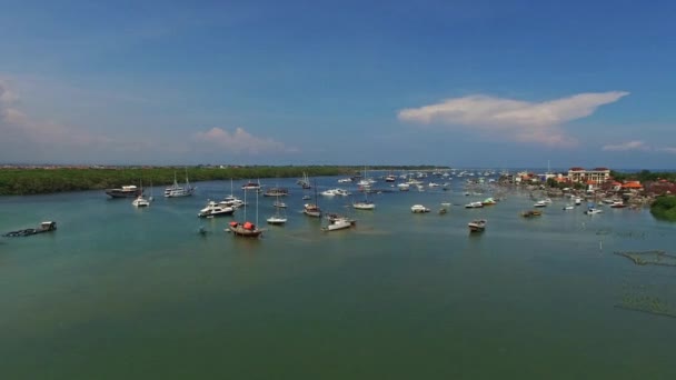 Яхты в бухте в летнее время — стоковое видео