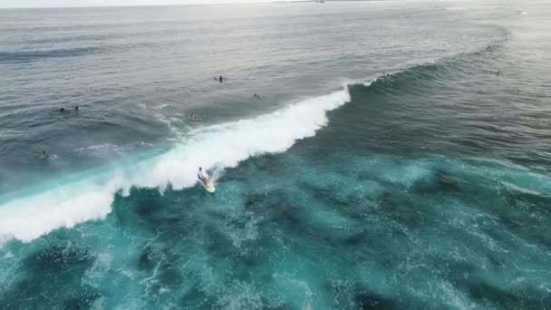Surfare vid vatten kanten — Stockvideo