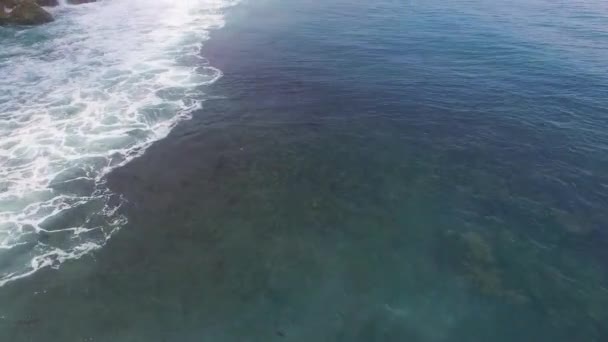 Vols au-dessus des vagues 