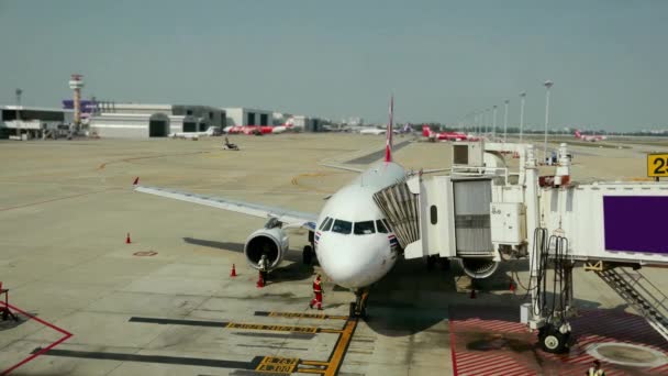 Das Flugzeug auf dem Flughafen beim Beladen — Stockvideo