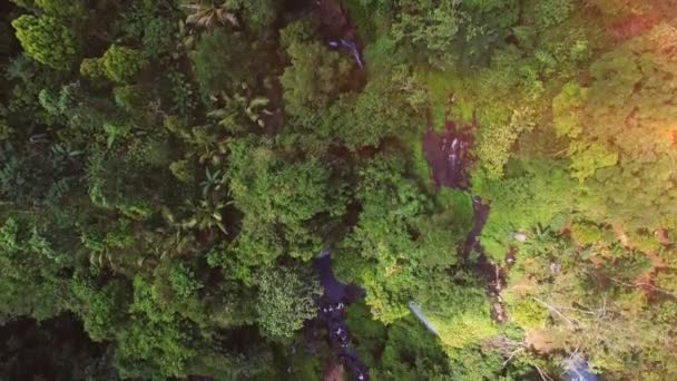 Grünes Wochenende exotisches Paradies, Kauai, Hawaii — Stockvideo