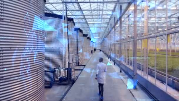 Lavoratrice che controlla il complesso agroindustriale. Linee digitali sullo sfondo, concetto futuristico. — Video Stock