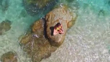 Sarı bikinili güzel yoga öğretmeni denizdeki kayada yoga yapıyor. Tayland 'daki Samui adasında temiz su. İHA 'dan gelen hava veiw' i.