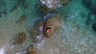 Sarı bikinili güzel yoga öğretmeni denizdeki kayada yoga yapıyor. Tayland 'daki Samui adasında temiz su. İHA 'dan gelen hava veiw' i.