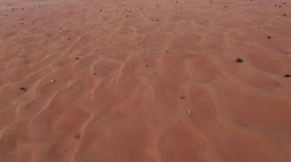 AERIAL. Column of white cars travelling in sand desert. — Stock Photo, Image