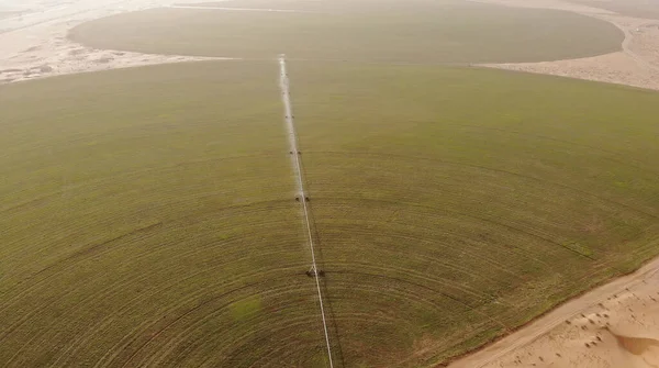 Luchtvaartmaatschappij. Circulaire groene irrigatiepleisters voor de landbouw in de woestijn. Dubai, Verenigde Arabische Emiraten. — Stockfoto