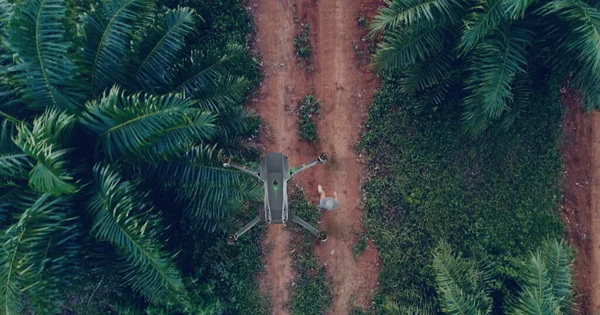 3D Animatie. Technicus boer gebruik wifi laptop controle landbouw drone vliegen om bespoten meststof op de palmvelden — Stockfoto