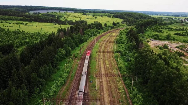 Luchtfoto van de trein in het bos — Stockfoto