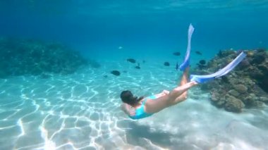 Mavi mayolu genç bir kadın kristal okyanuslarda mercan resifleriyle dalıyor.. 