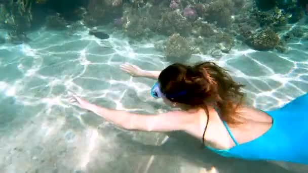 Vista de cerca de la joven hermosa mujer en traje de baño azul nada bajo el agua en el mar rojo con destellos de sol y aguas cristalinas de los océanos. — Vídeos de Stock