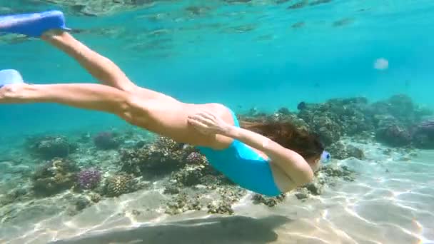 Νεαρή γυναίκα με μπλε μαγιό που βουτάει στα κρυστάλλινα νερά των ωκεανών με κοραλλιογενείς υφάλους. — Αρχείο Βίντεο