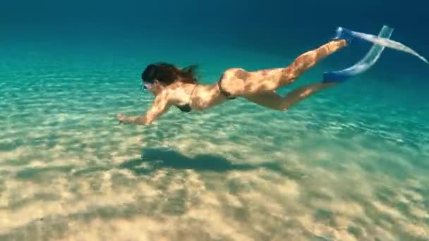 Mujer joven en traje de baño azul buceando en el agua de los océanos cristalinos con arrecifes de coral. — Vídeo de stock