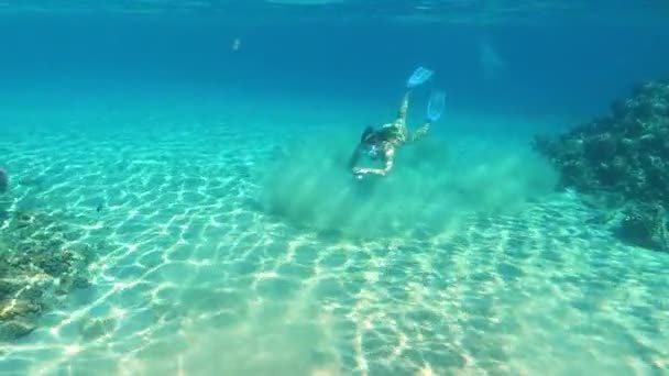 Jeune femme en maillot de bain bleu plongeant dans l'eau cristalline des océans avec récifs coralliens. — Video