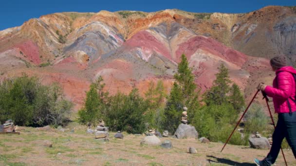 Randonnée pédestre. Randonnée dans les montagnes. Femme voyageur sur beau paysage d'été — Video