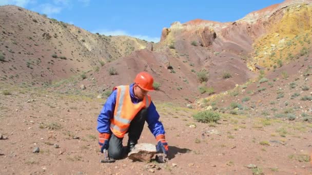 Geólogo golpea una formación rocosa con un martillo — Vídeo de stock