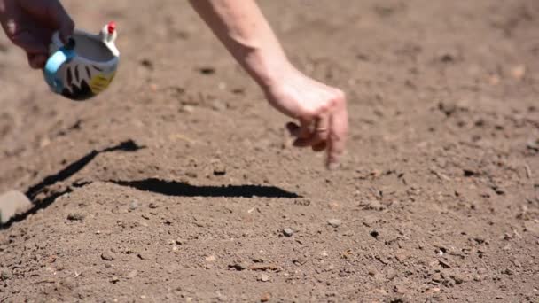 Närbild av en bondes handgjorda spår för plantering — Stockvideo