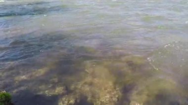 Yazın nehirde su akışı