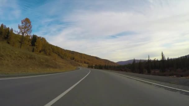 Sonbaharda gün içinde sakin bir kırsal yolda araba sürmek.. — Stok video