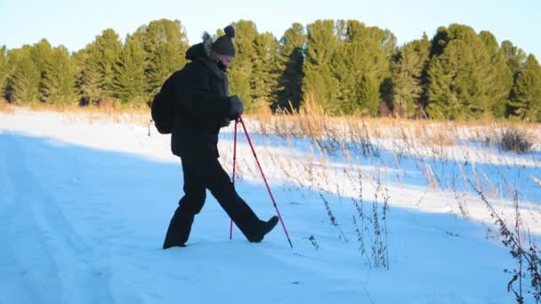 Nordic walking - vintersport för alla åldrar. Aktiva människor i olika åldrar vandrar i snöig skog. Naturskönt, lugnt skandinaviskt landskap — Stockvideo