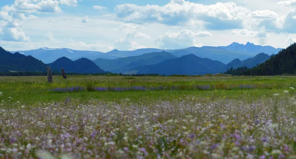 Parque nacional Uch-Enmek, Altai, Sibéria, Rússia — Fotografia de Stock