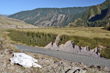 turkuaz renkli suların Nehri'nin Chuya, Altay Dağları, Sibirya, R