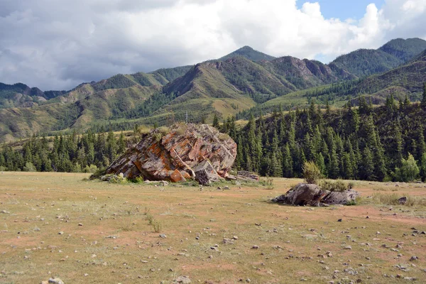 Pastos y rocas de montaña, montañas de Altai, Siberia, Rusia — Foto de Stock