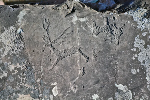 Antiguos petroglifos encontrados en el sitio Kalbak-Tash —  Fotos de Stock